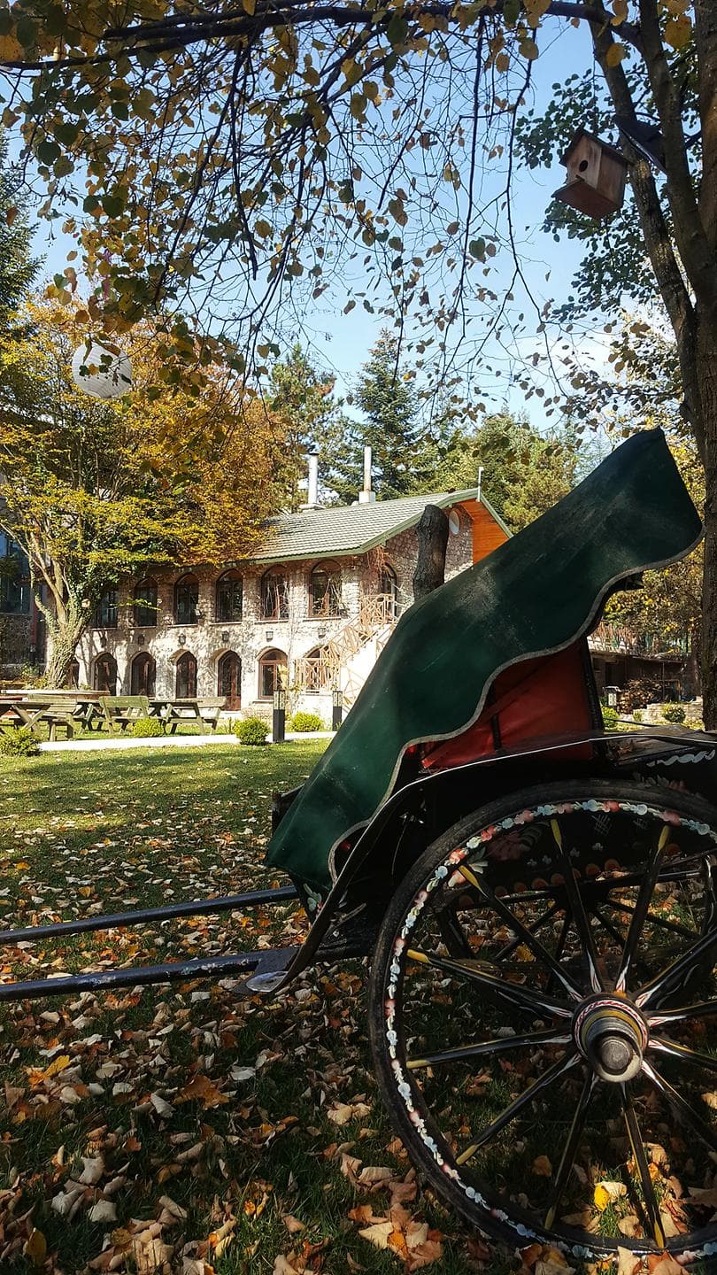 Bolu Koru Hotels Spa & Convention-16