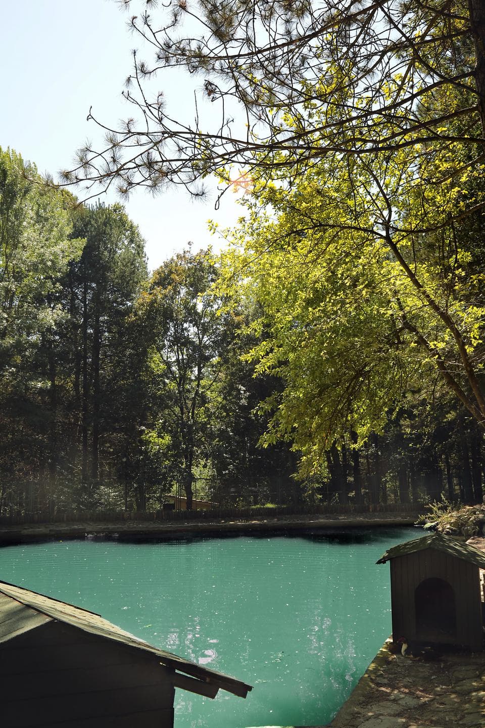 Bolu Koru Hotels Spa & Convention-14