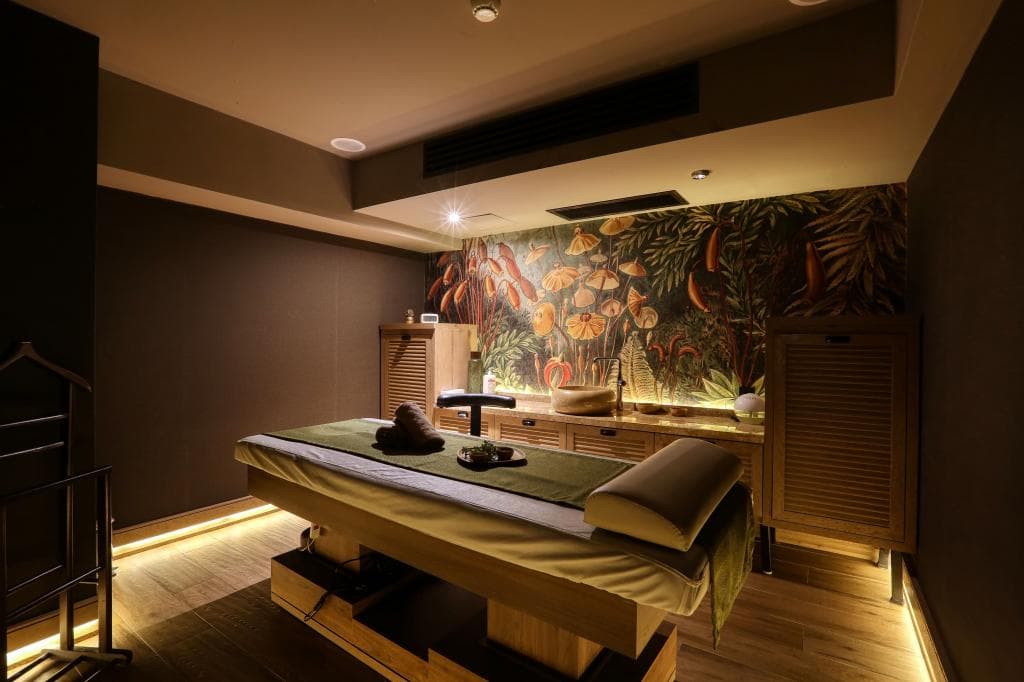 Almira Hotel Termal Spa Convention Center-20