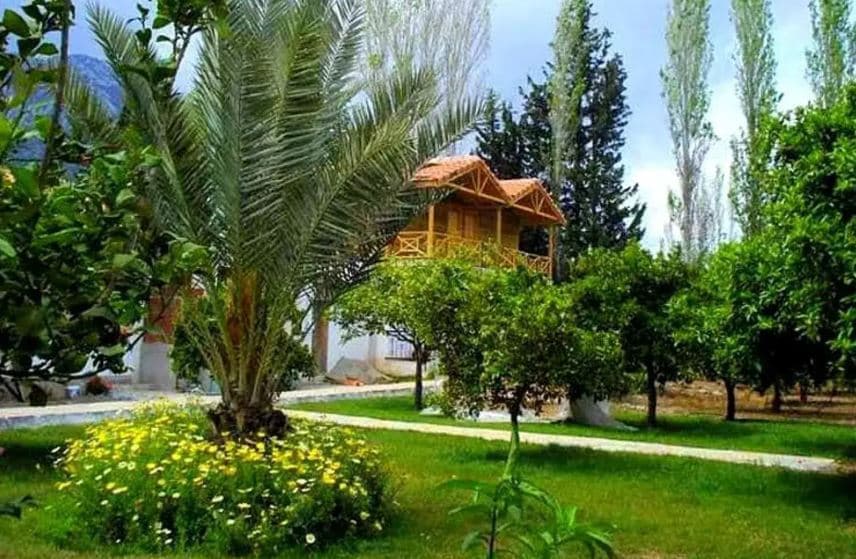 Portakal Bahçesi Bungalow-8