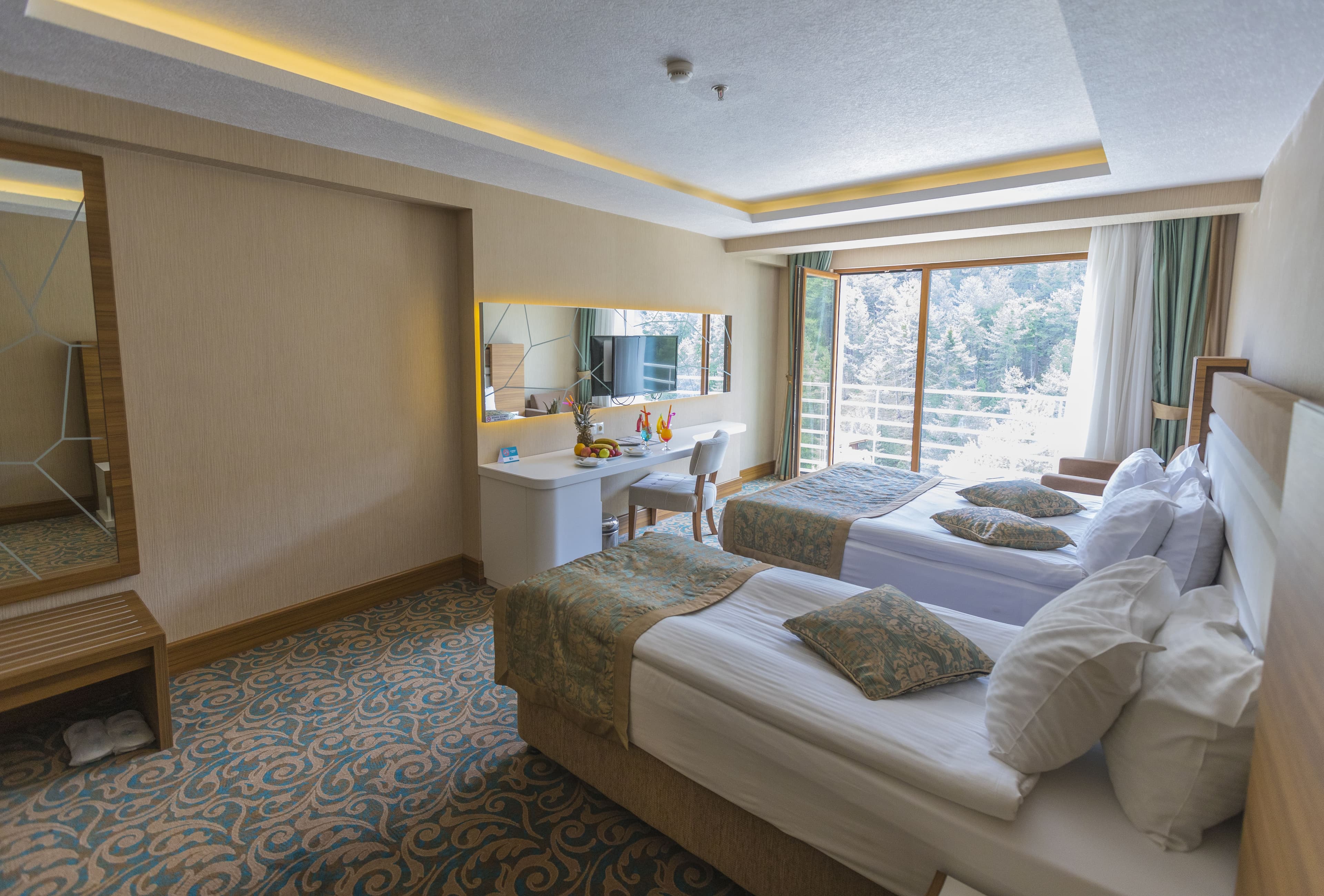 Çam Thermal Resort & Spa-176