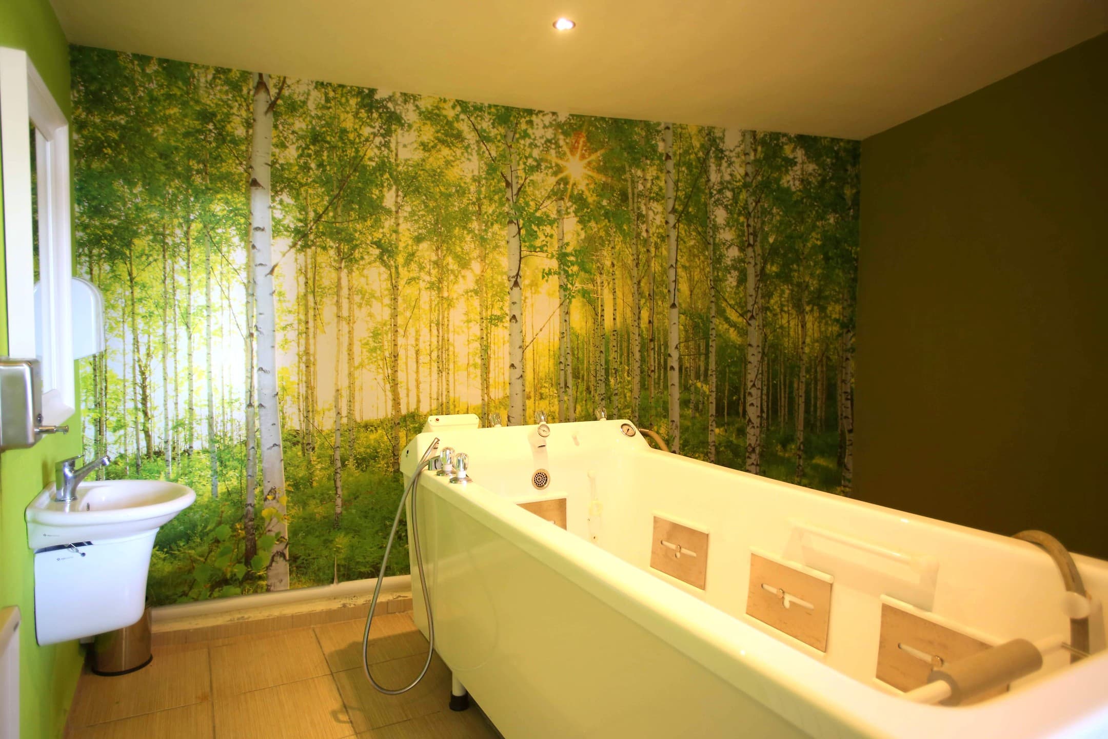 Dalaman Lykia Resort Thermal Hotel-26