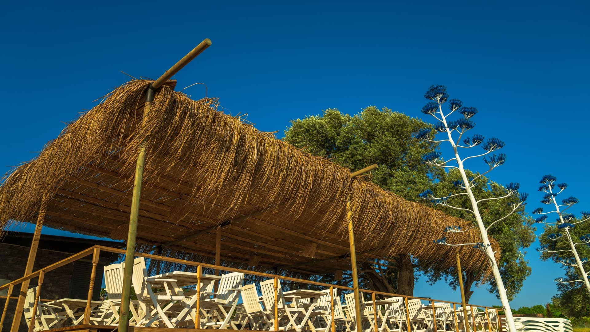 Yelken Beach Otel     -16