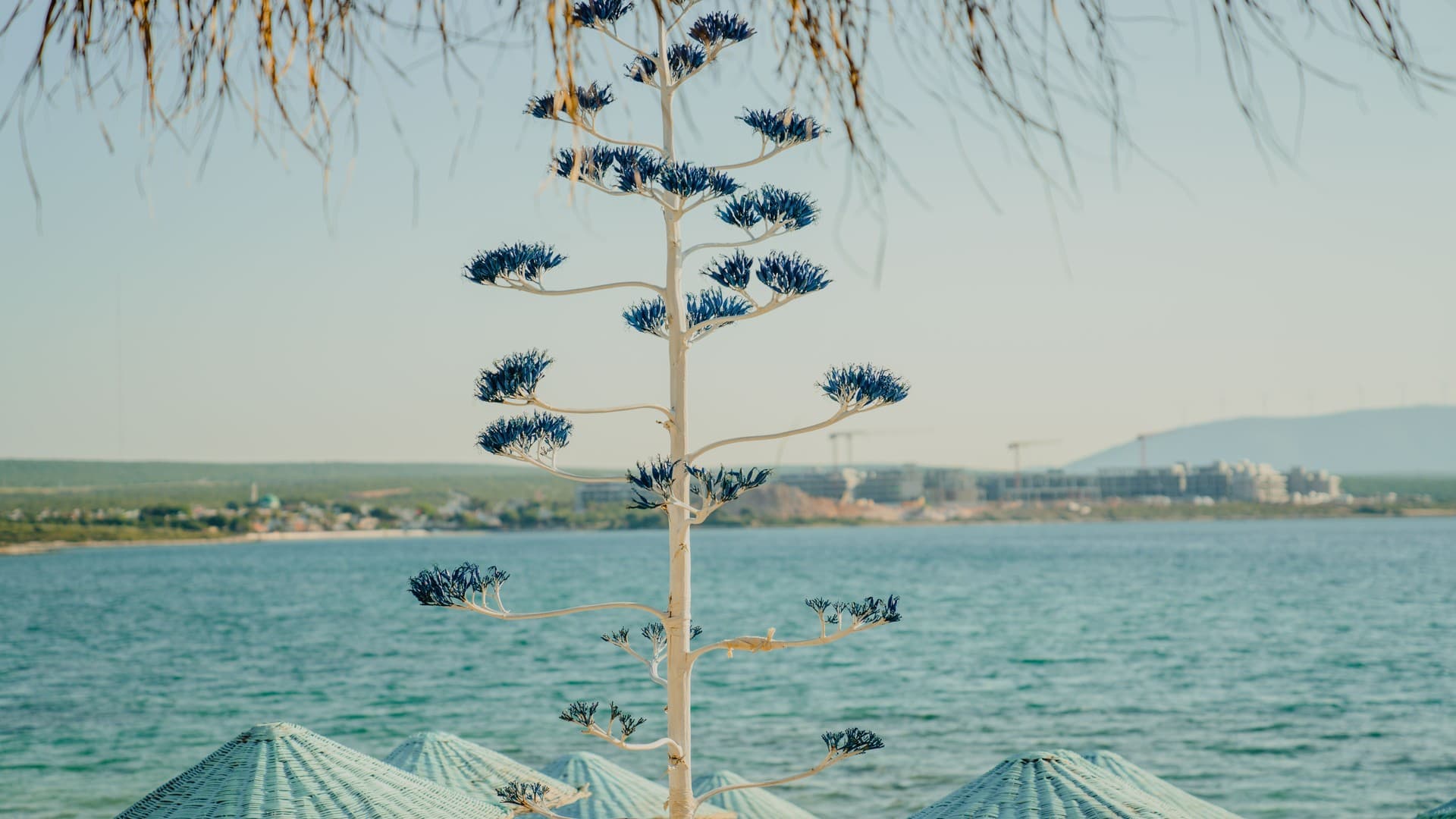 Yelken Beach Otel     -14