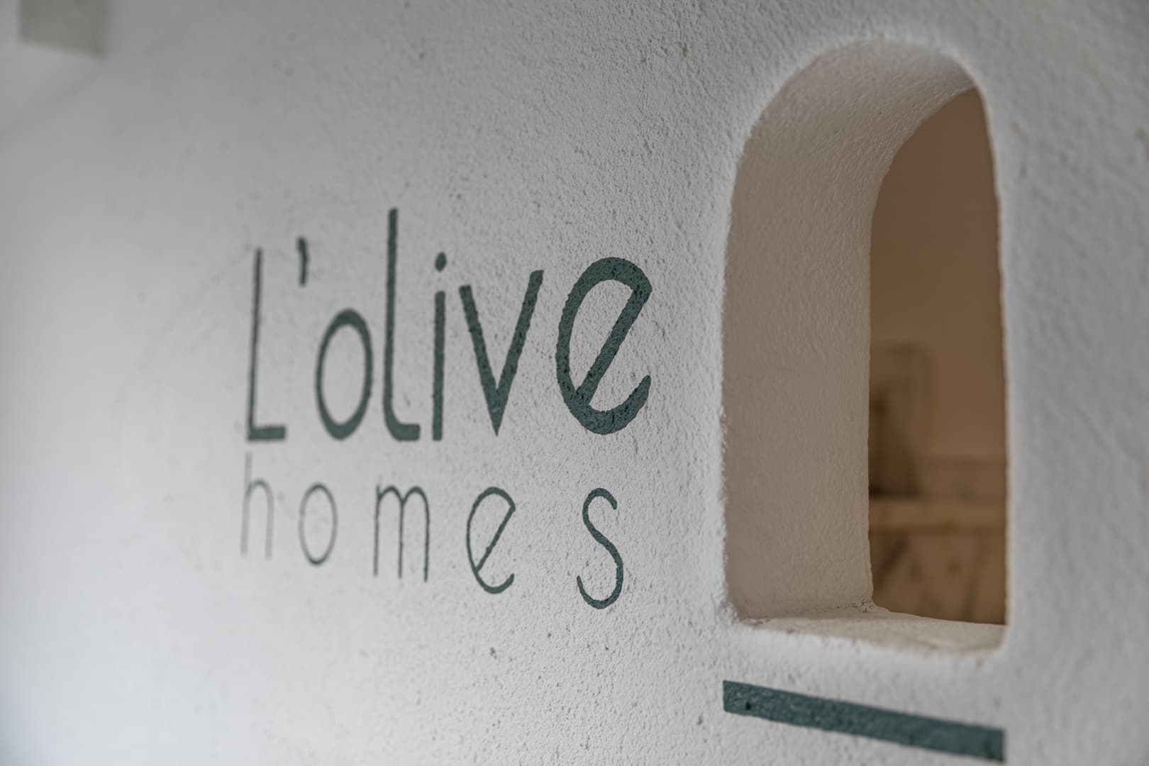 Lolive Homes-12
