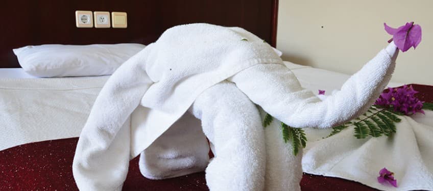 Zeus Turunç Hotel-11