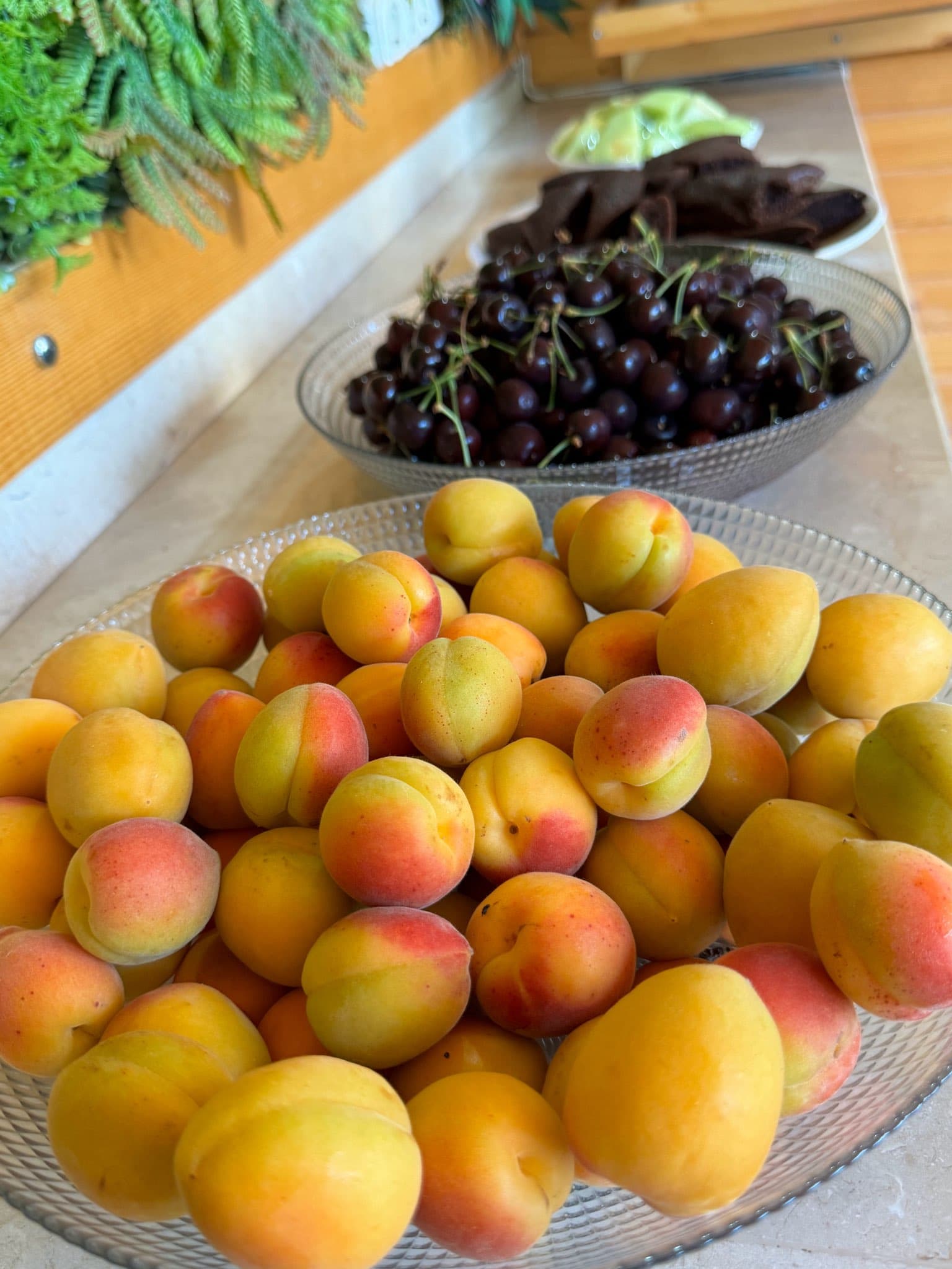 Amsterdam Otel Kemer-10