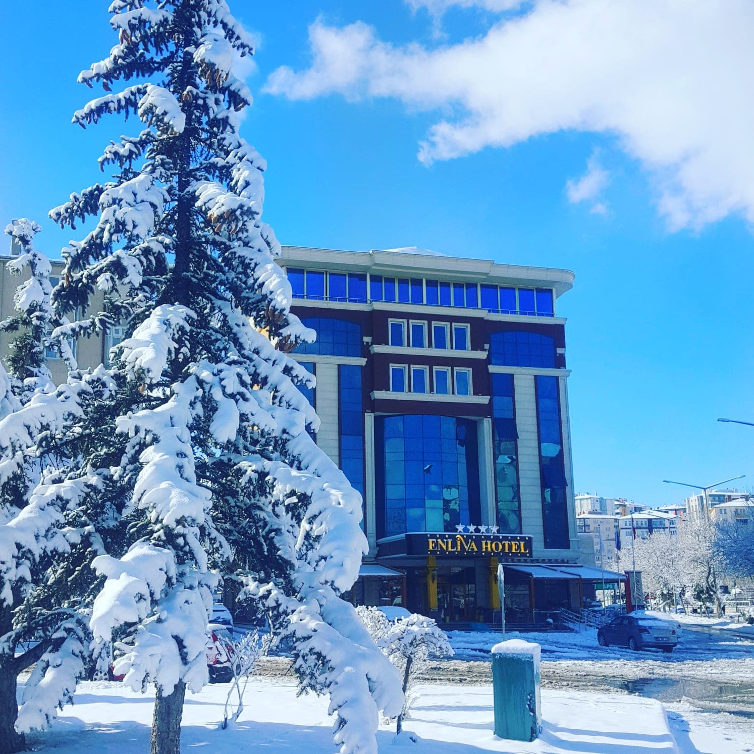 Enliva Hotel-5
