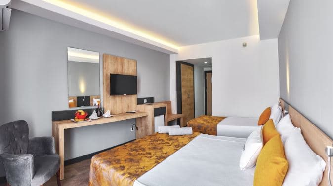 Clover Magic Park Side Hotel-12