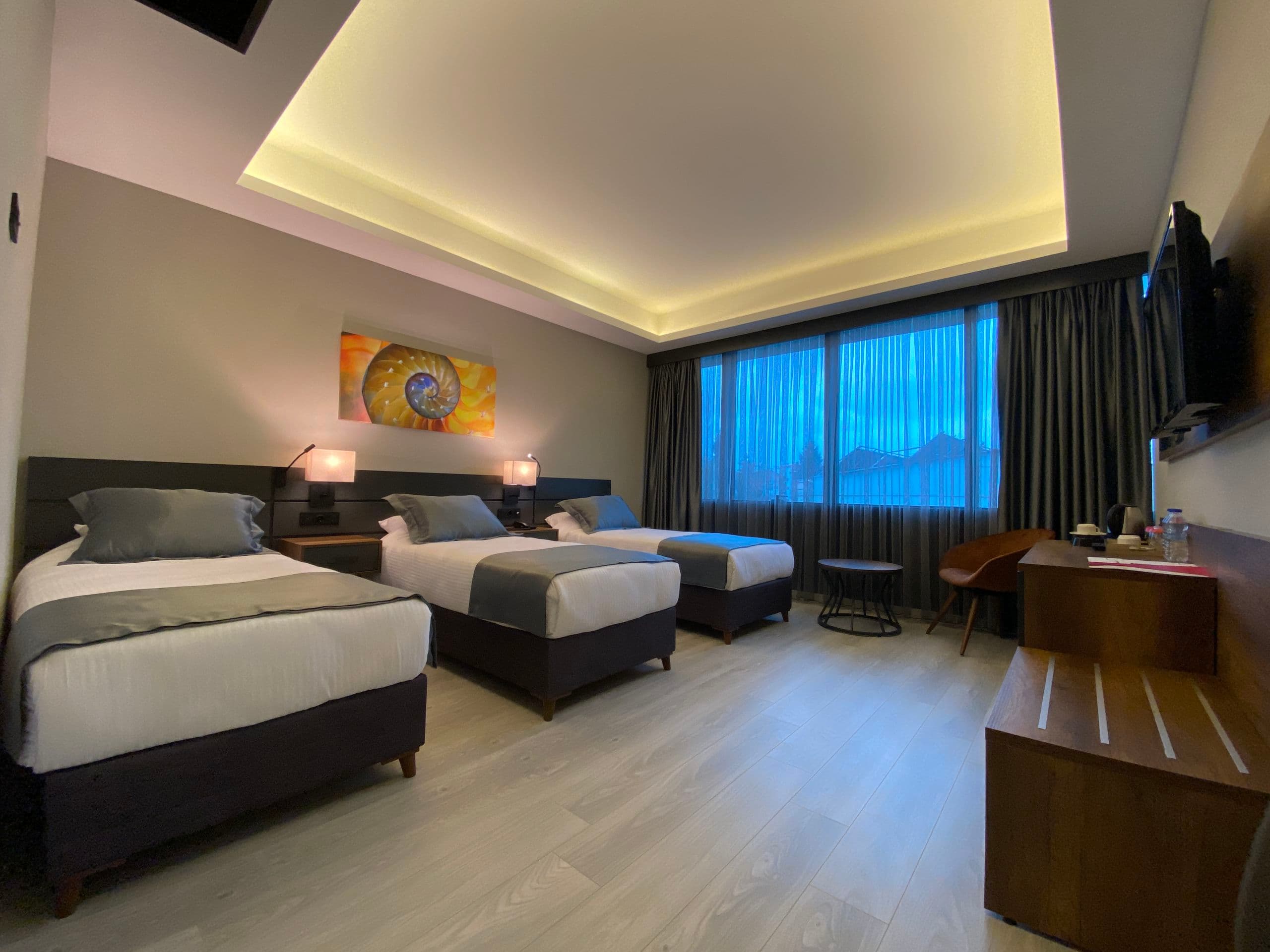 The Plaza Hotel Edirne-101