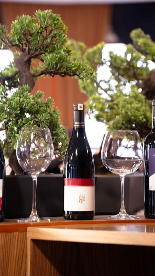 Seven For Life Thermal Hotel-58