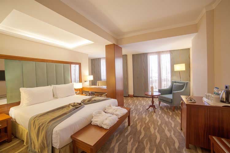 Lamec Hotel Business-resim-5