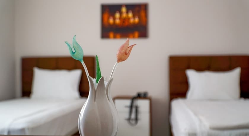 Hayat Palas Erzincan-1