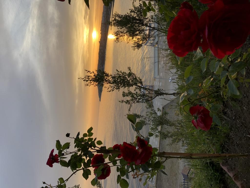 Family Resort Hotel-42