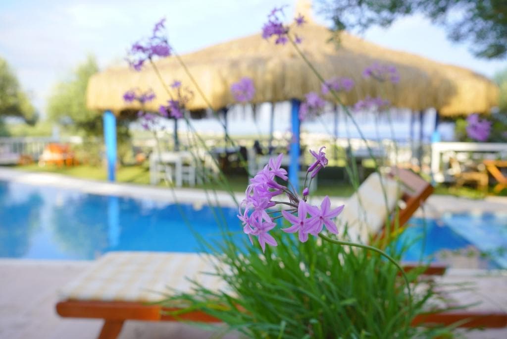 Aeneas Hotel Kazdağları-22