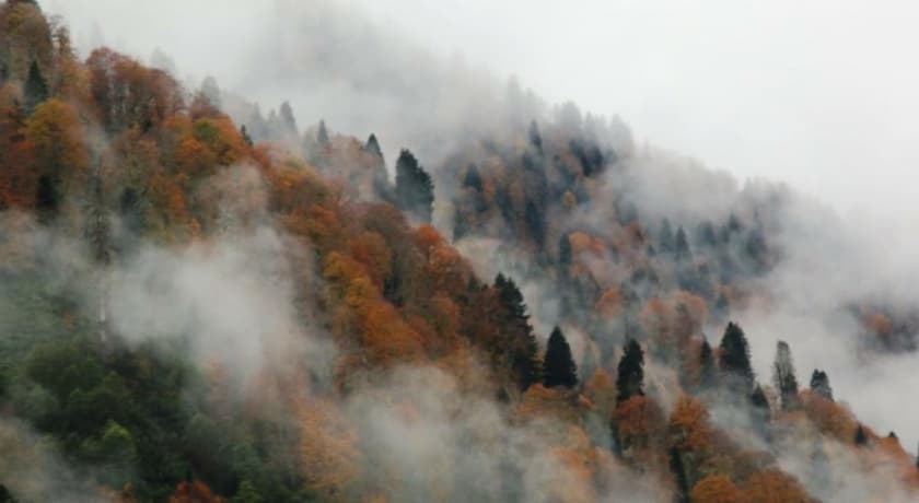 Ayder Doğa Resort-45