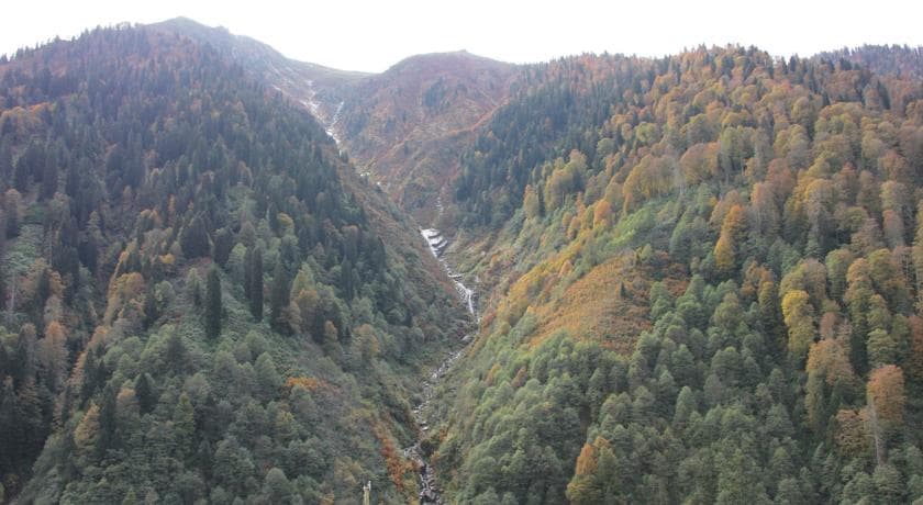 Ayder Doğa Resort-39