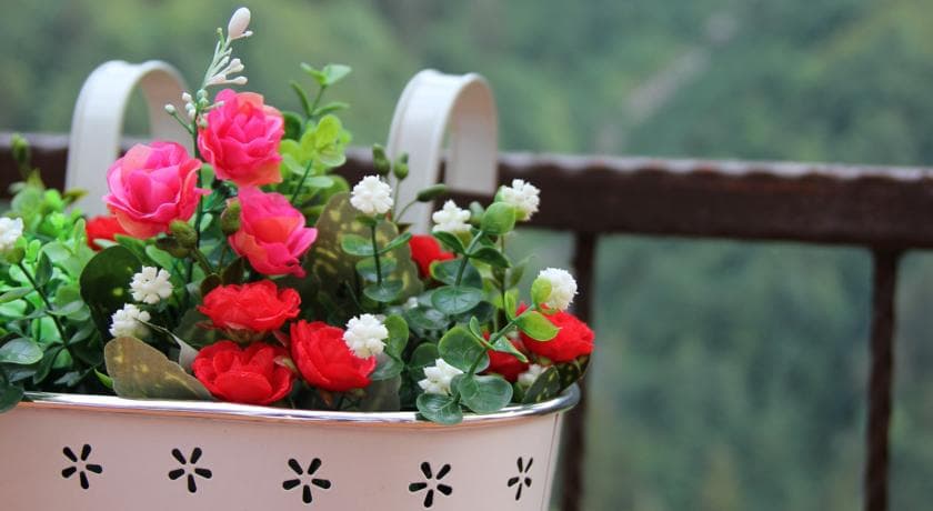 Ayder Doğa Resort-13