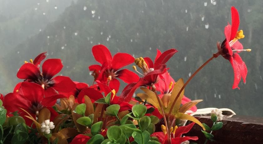 Ayder Doğa Resort-8