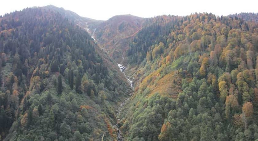 Ayder Doğa Resort-57