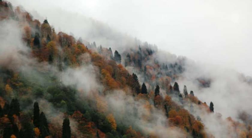 Ayder Doğa Resort-60