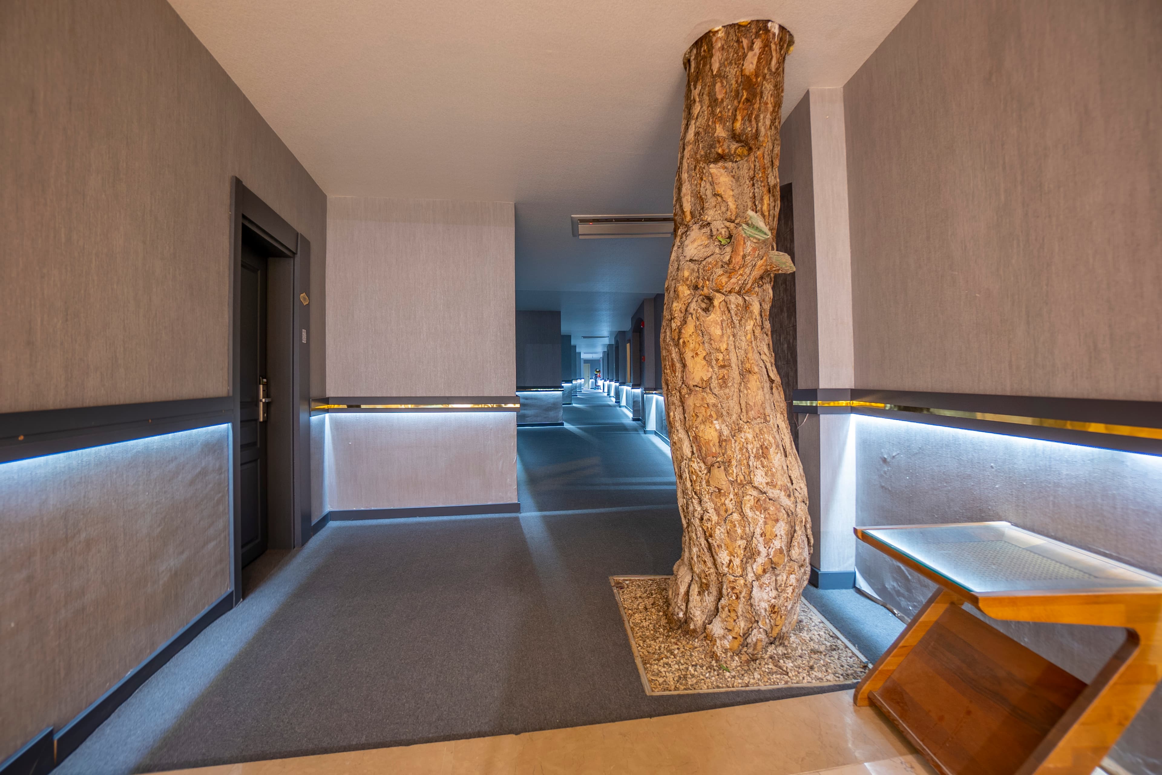 Harlek Termal Otel Wellness & Spa-74