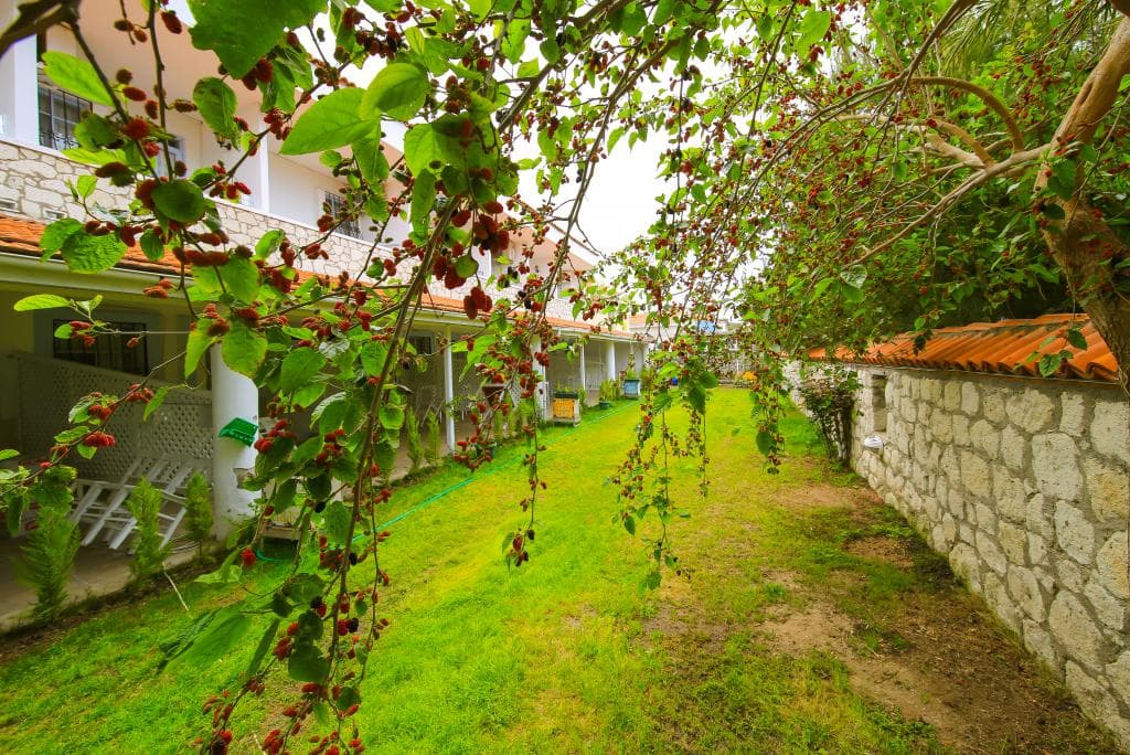 Alasonya Otel Alaçatı By Lamira-18