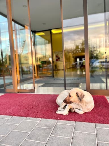 Türkmen Riverside Hotel Adana-7