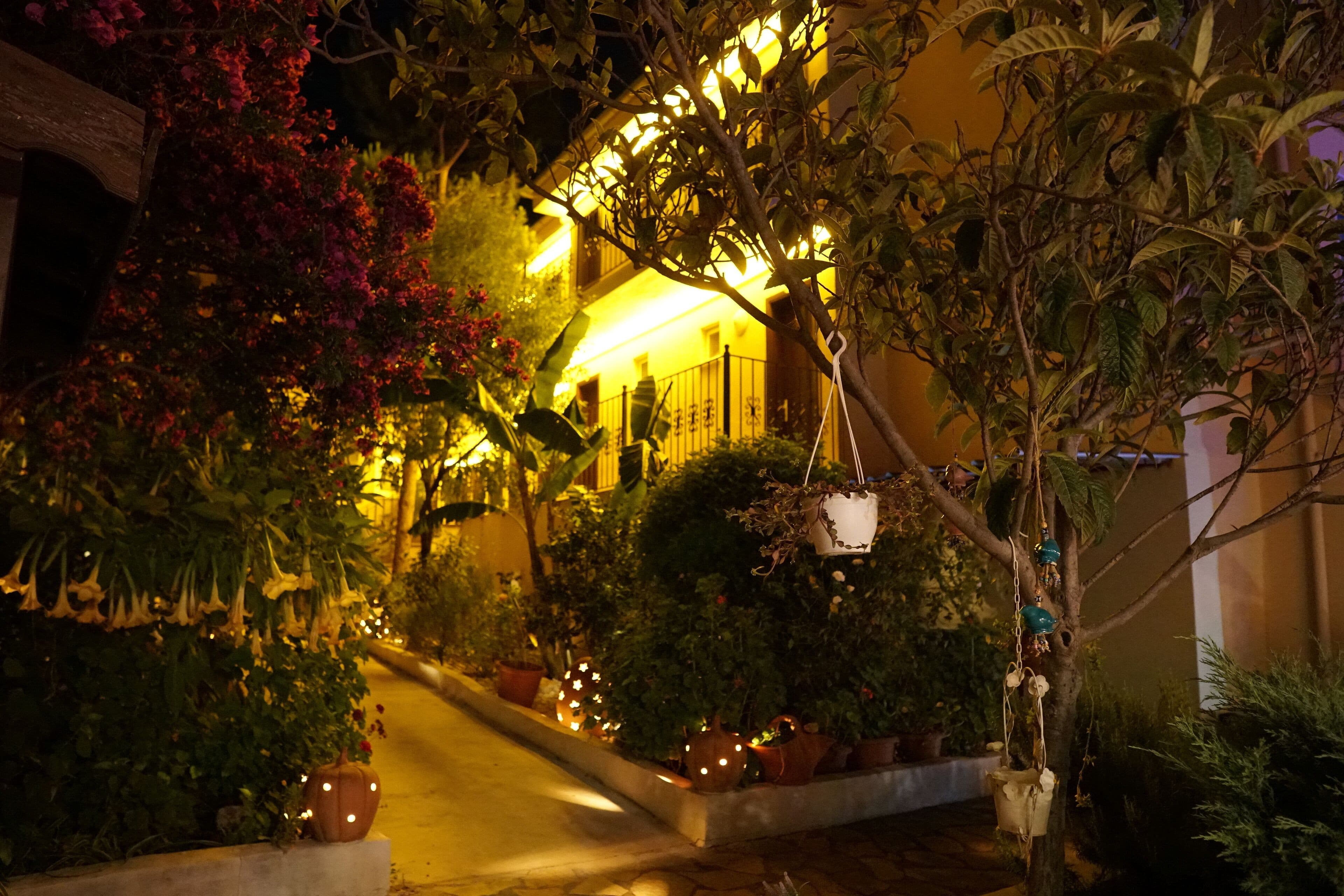 Tunacan Hotel Ölüdeniz-12