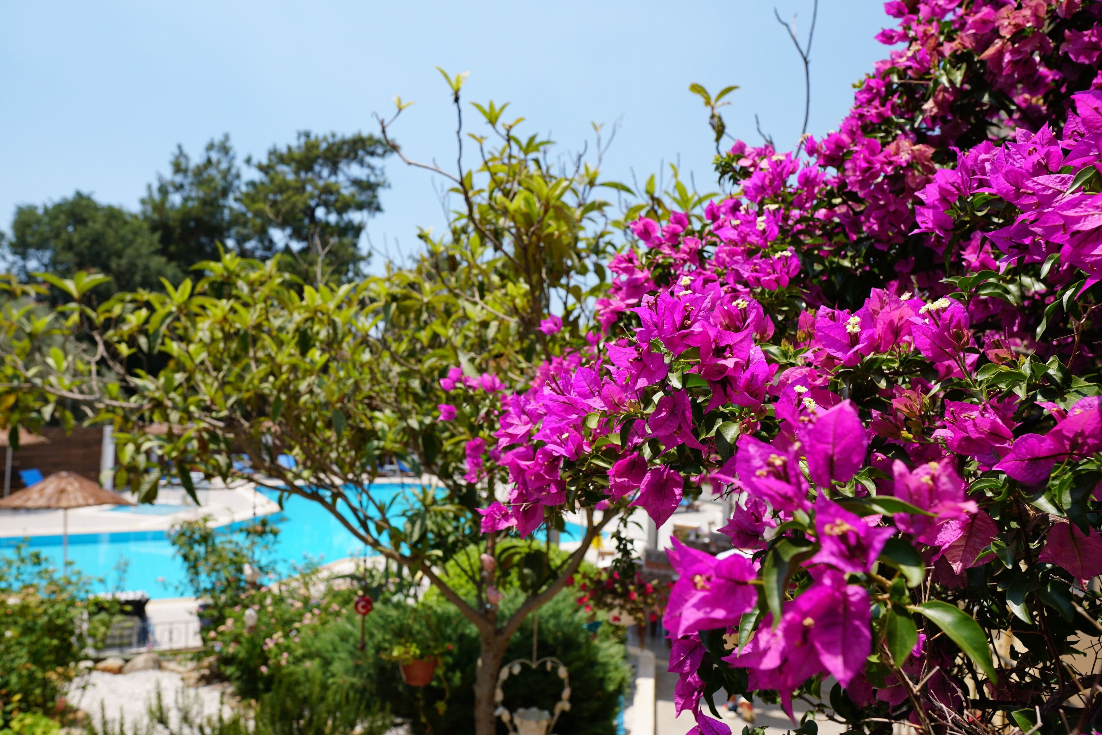Tunacan Hotel Ölüdeniz-17
