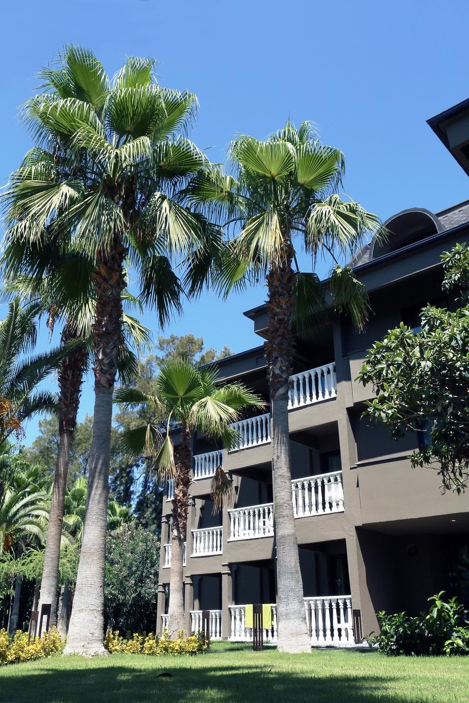 Sailors Beach Club-10