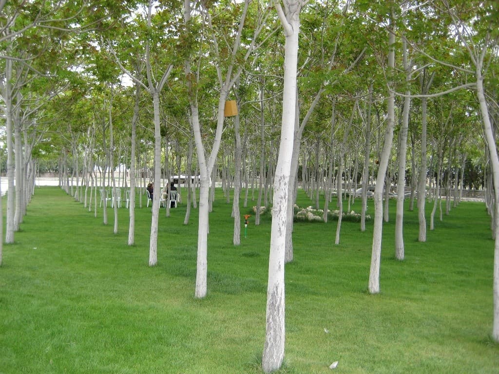 Grandhan Hotel Aksaray-12