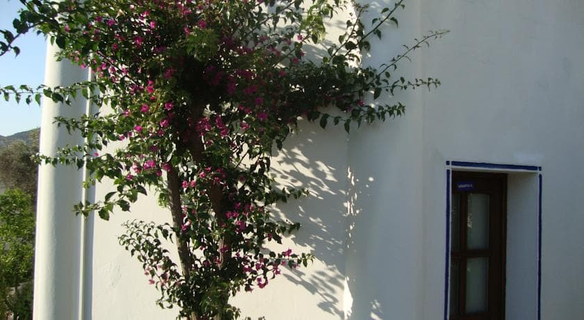 Eden Hotel Bodrum-25