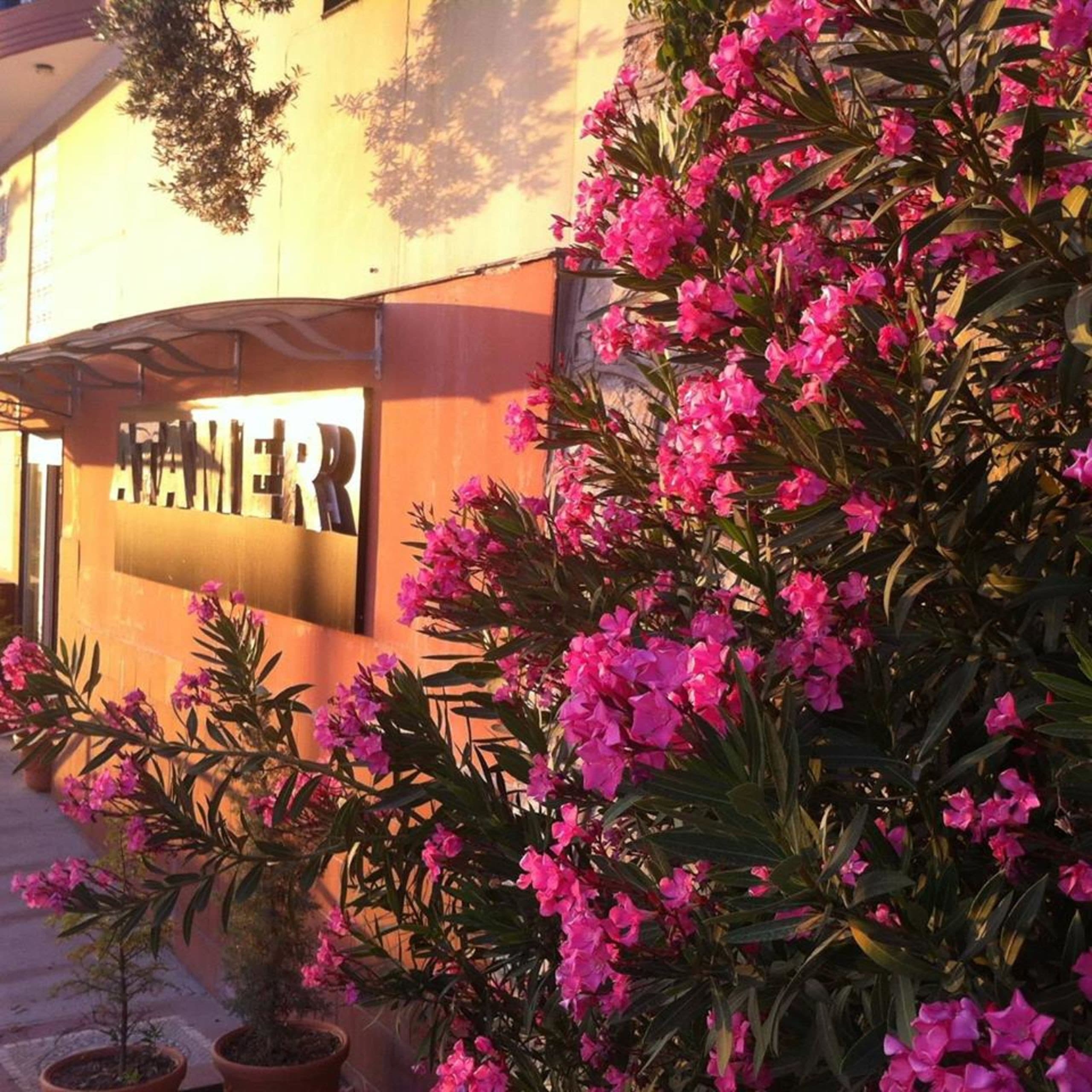 Atamer Doğa Resort-21