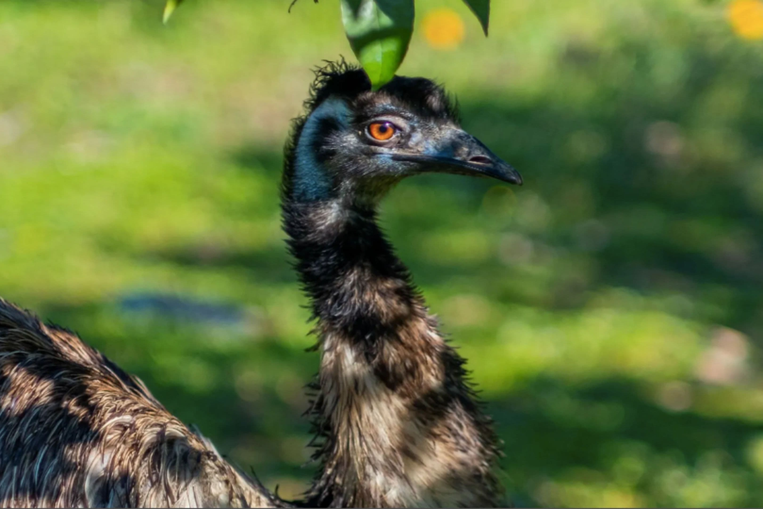 Batıhan Vadi Hotel-53