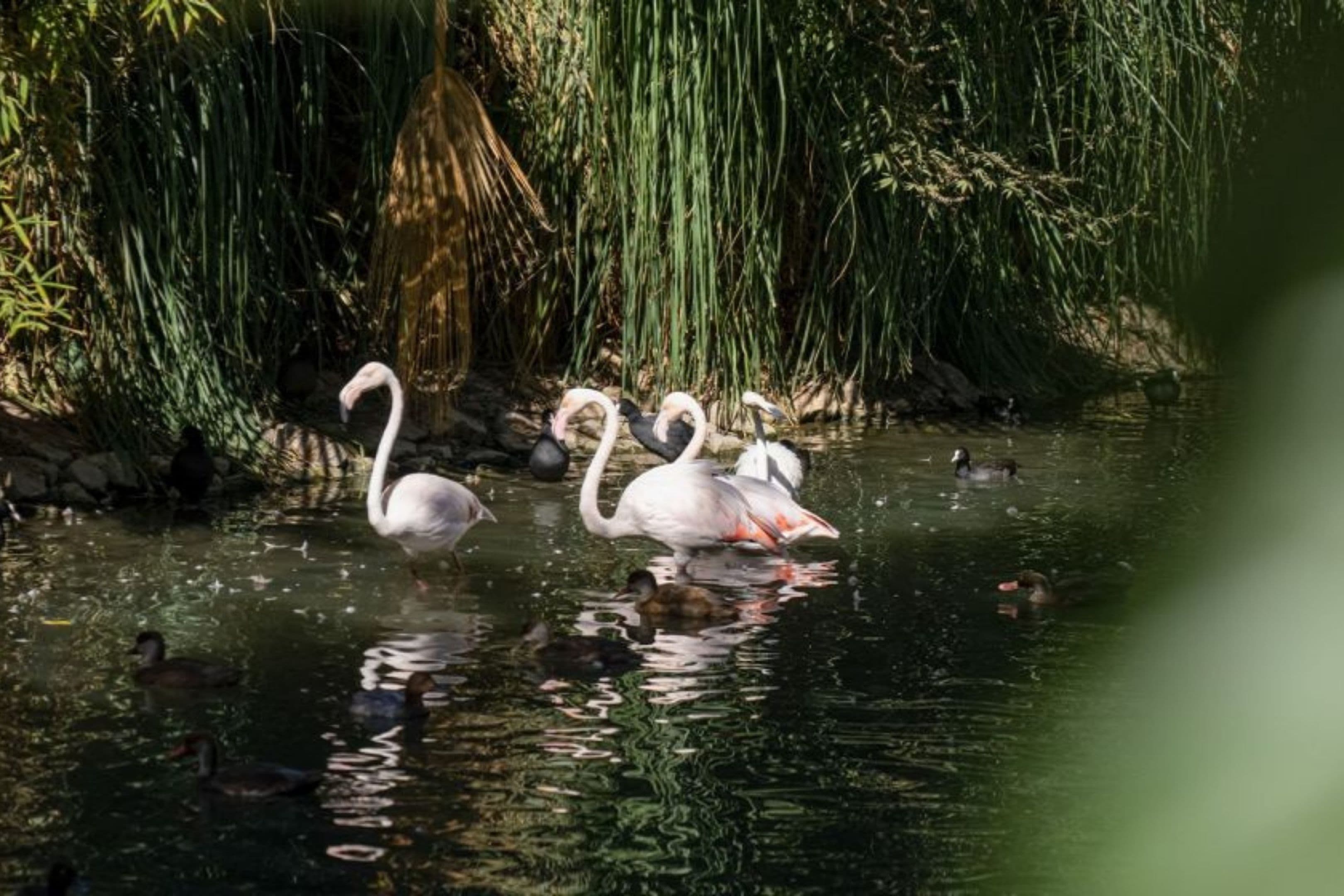 Batıhan Vadi Hotel-43