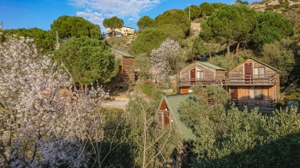 Ayanya Beach Hotel & Bungalows-4