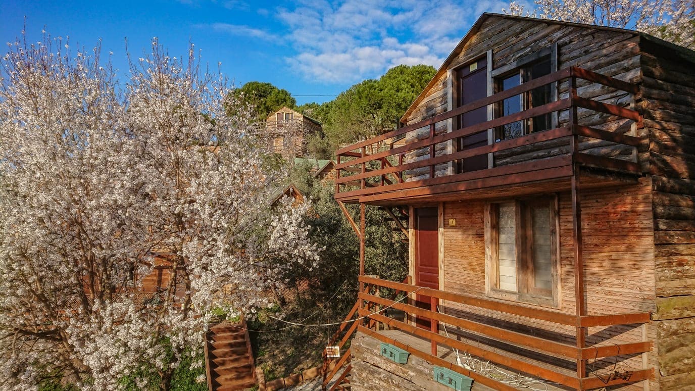 Ayanya Beach Hotel & Bungalows-91