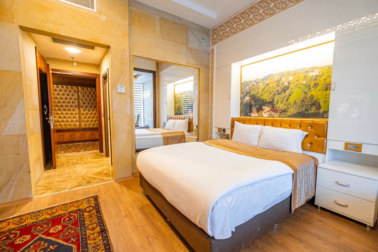 Gherdan Gold Hotel-18