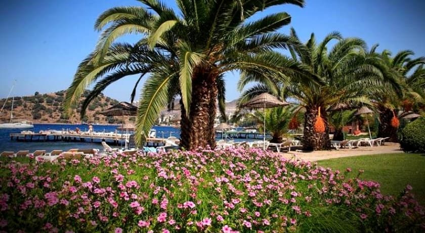 Princess Artemisia Otel-44