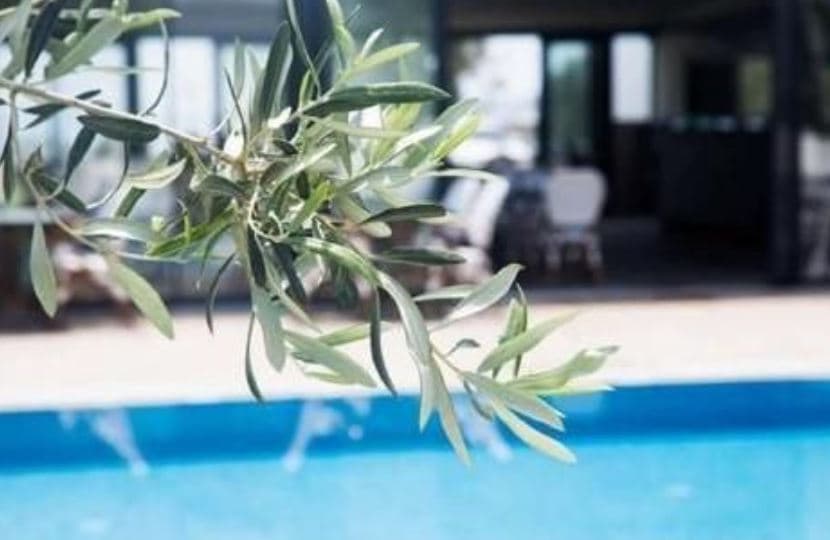 Assos Altın Otel-24