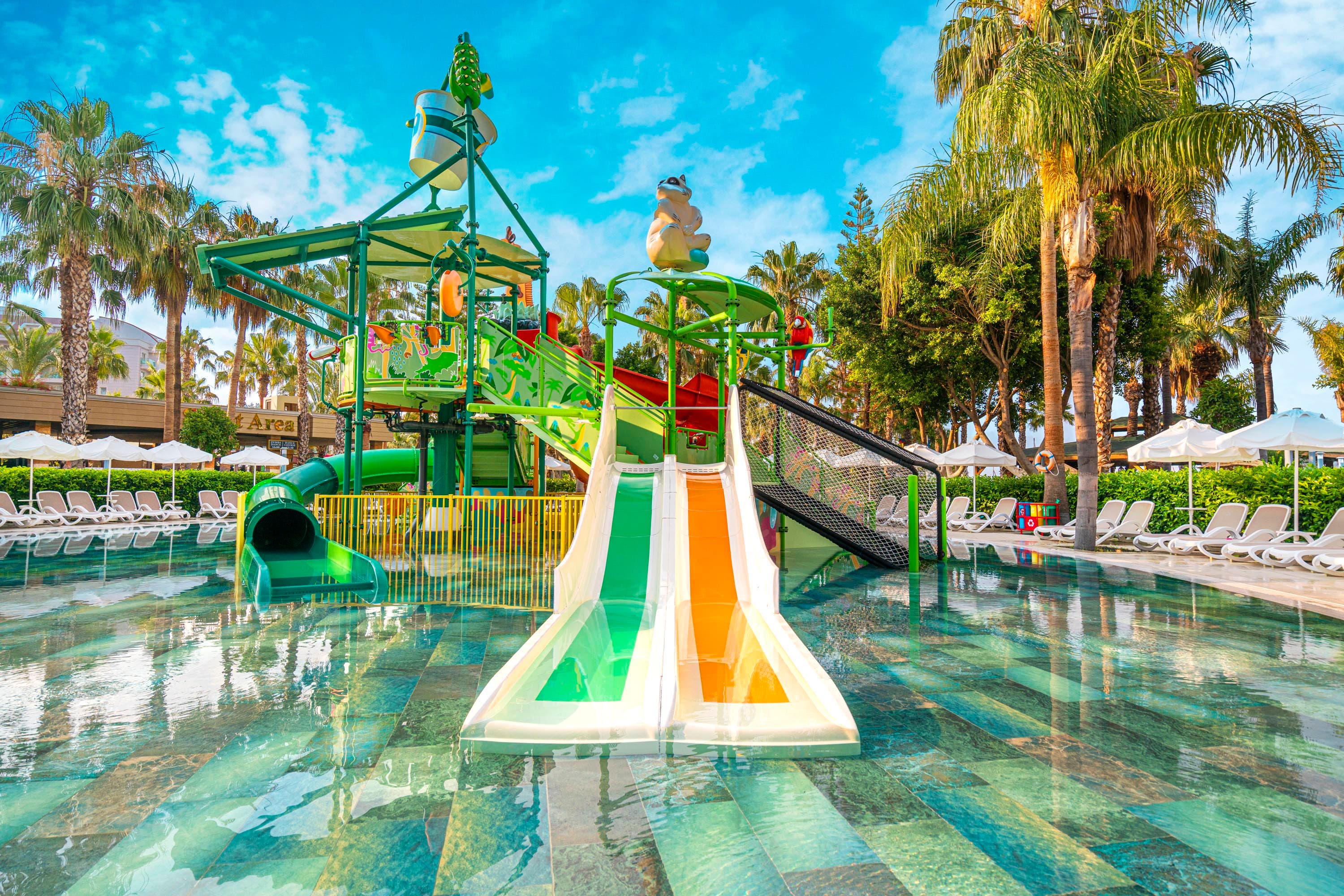 Leodikya Kirman Premium-67