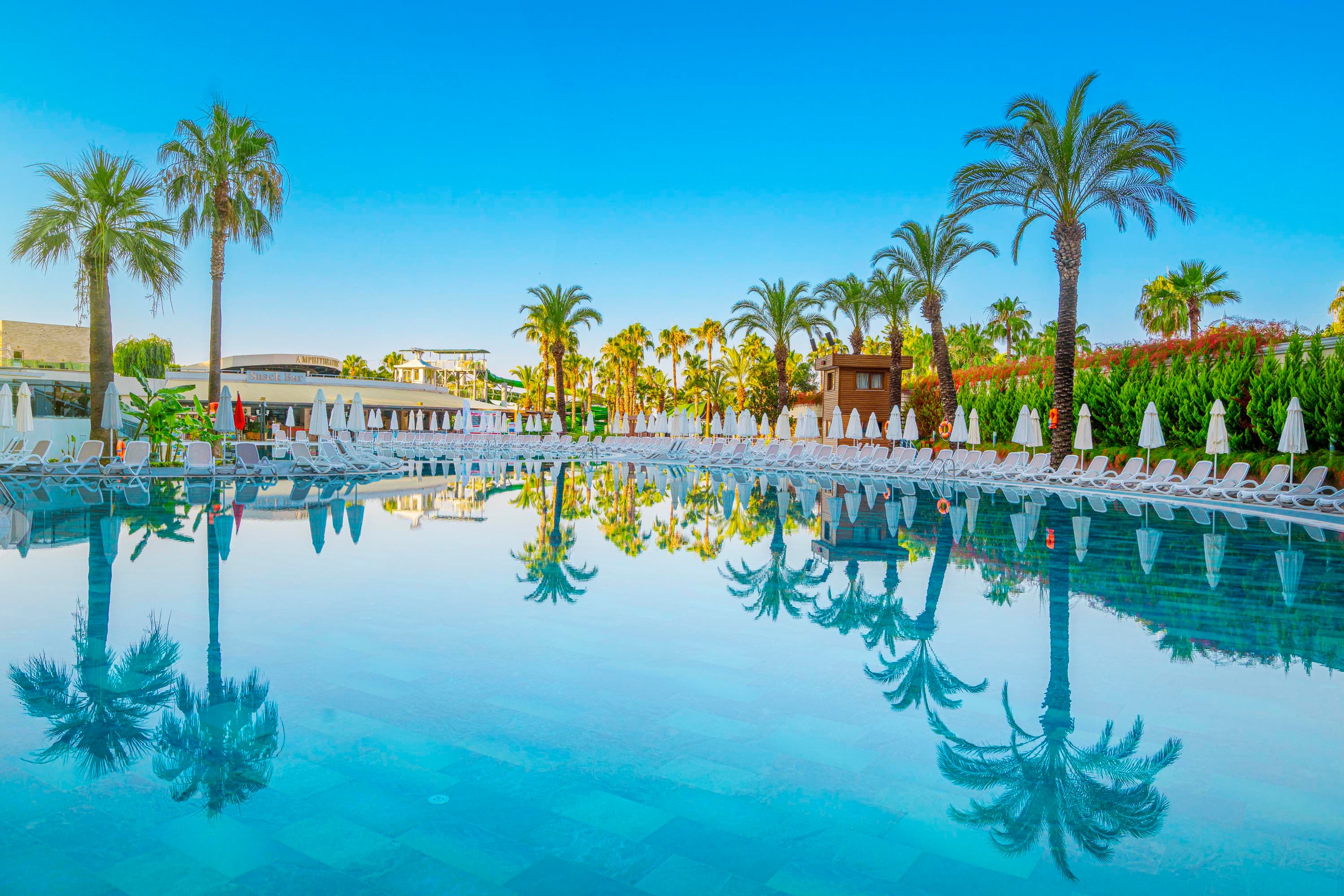 Leodikya Kirman Premium-2