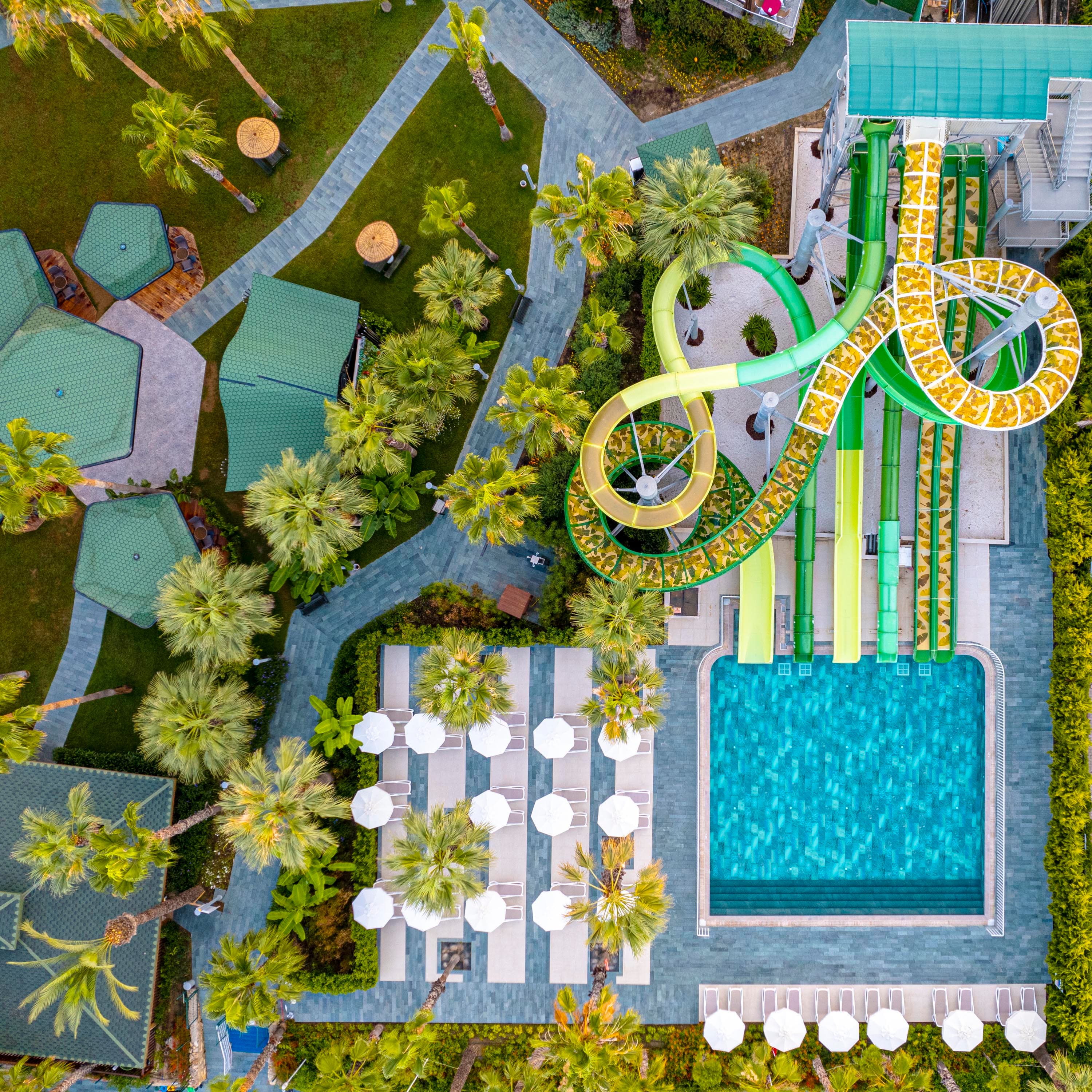 Leodikya Kirman Premium-56