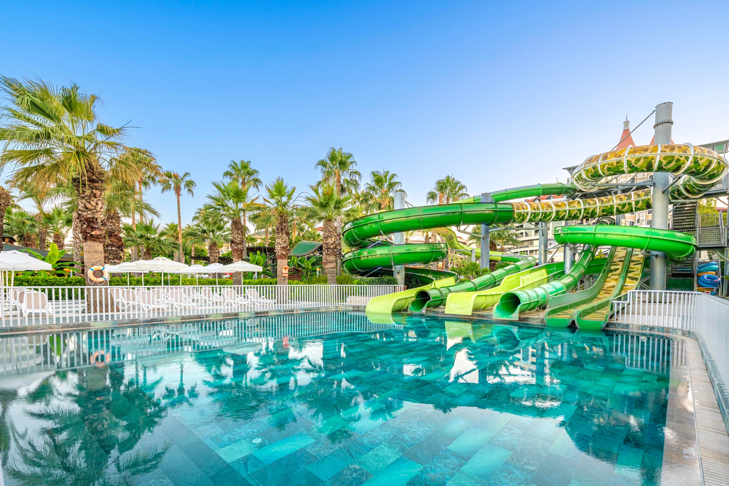 Leodikya Kirman Premium-5