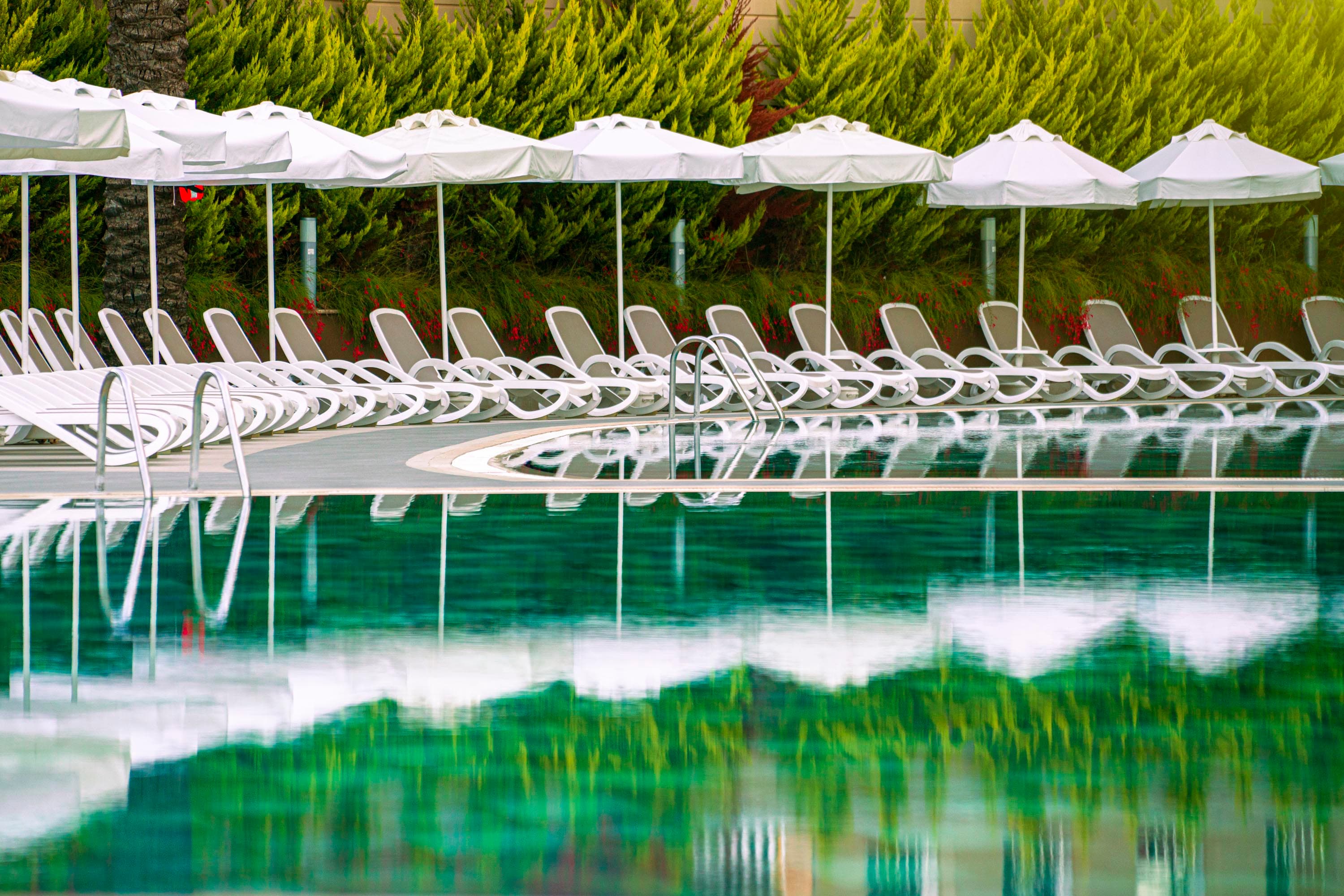 Leodikya Kirman Premium-23