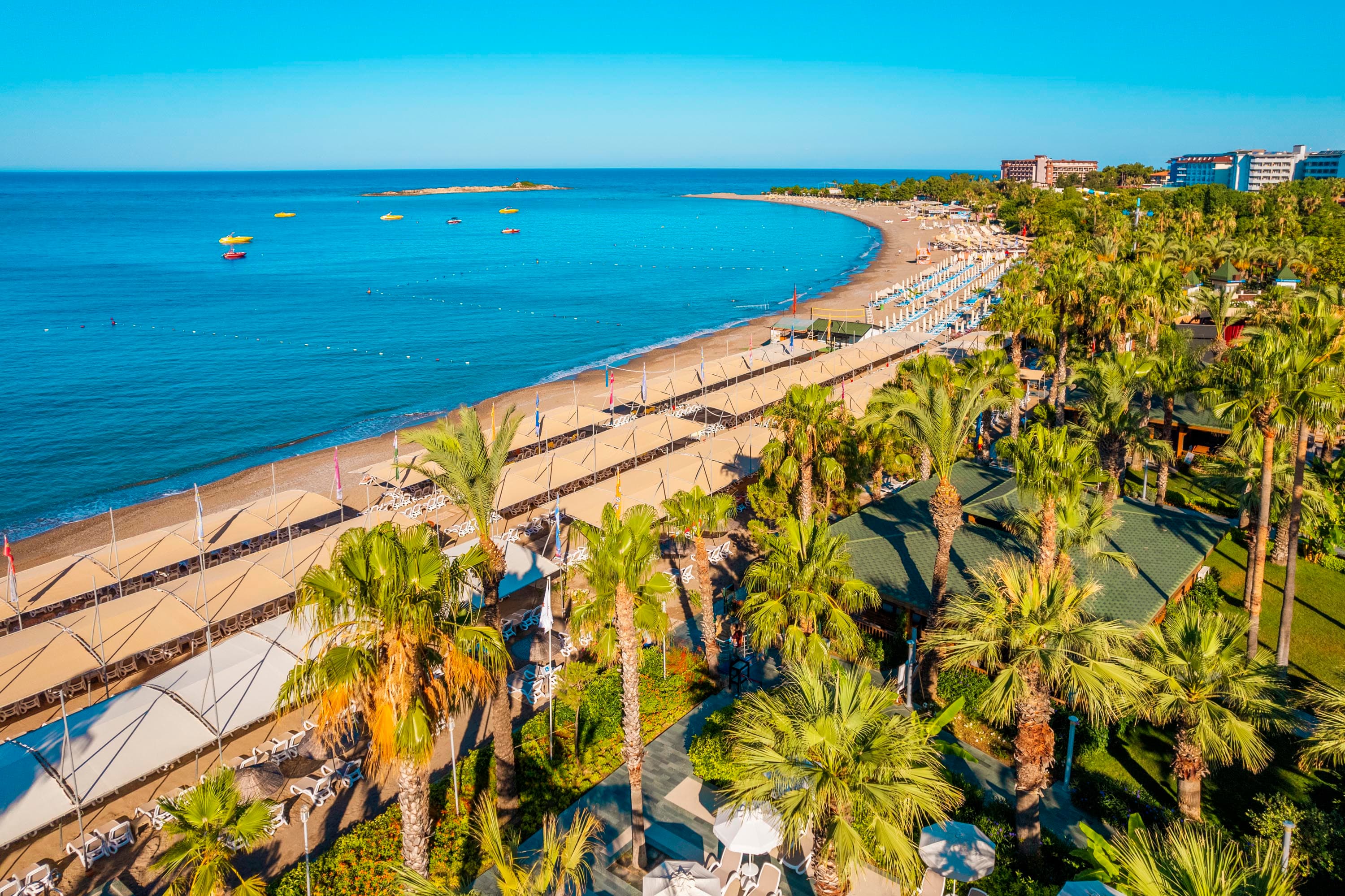 Leodikya Kirman Premium-34