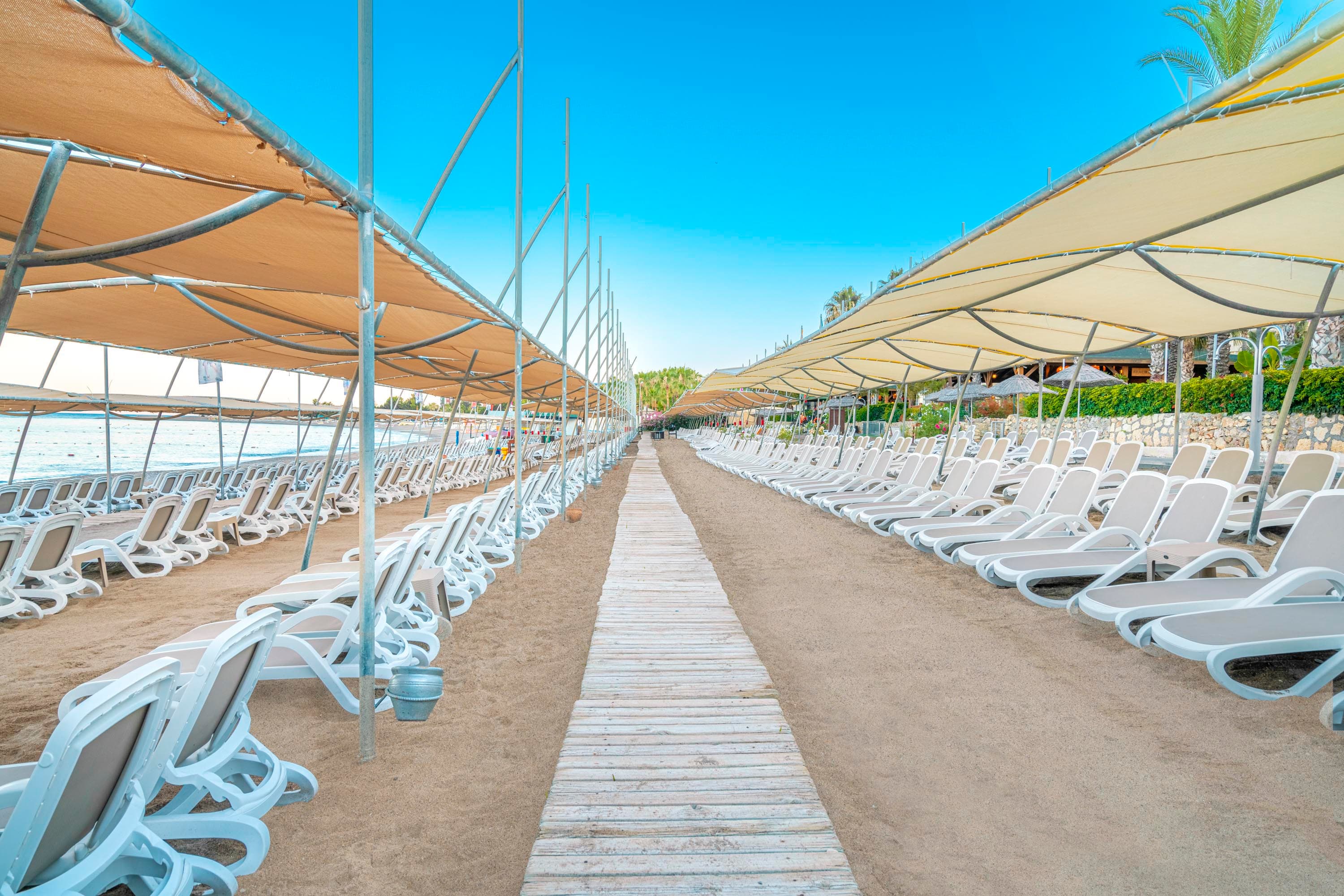 Leodikya Kirman Premium-35