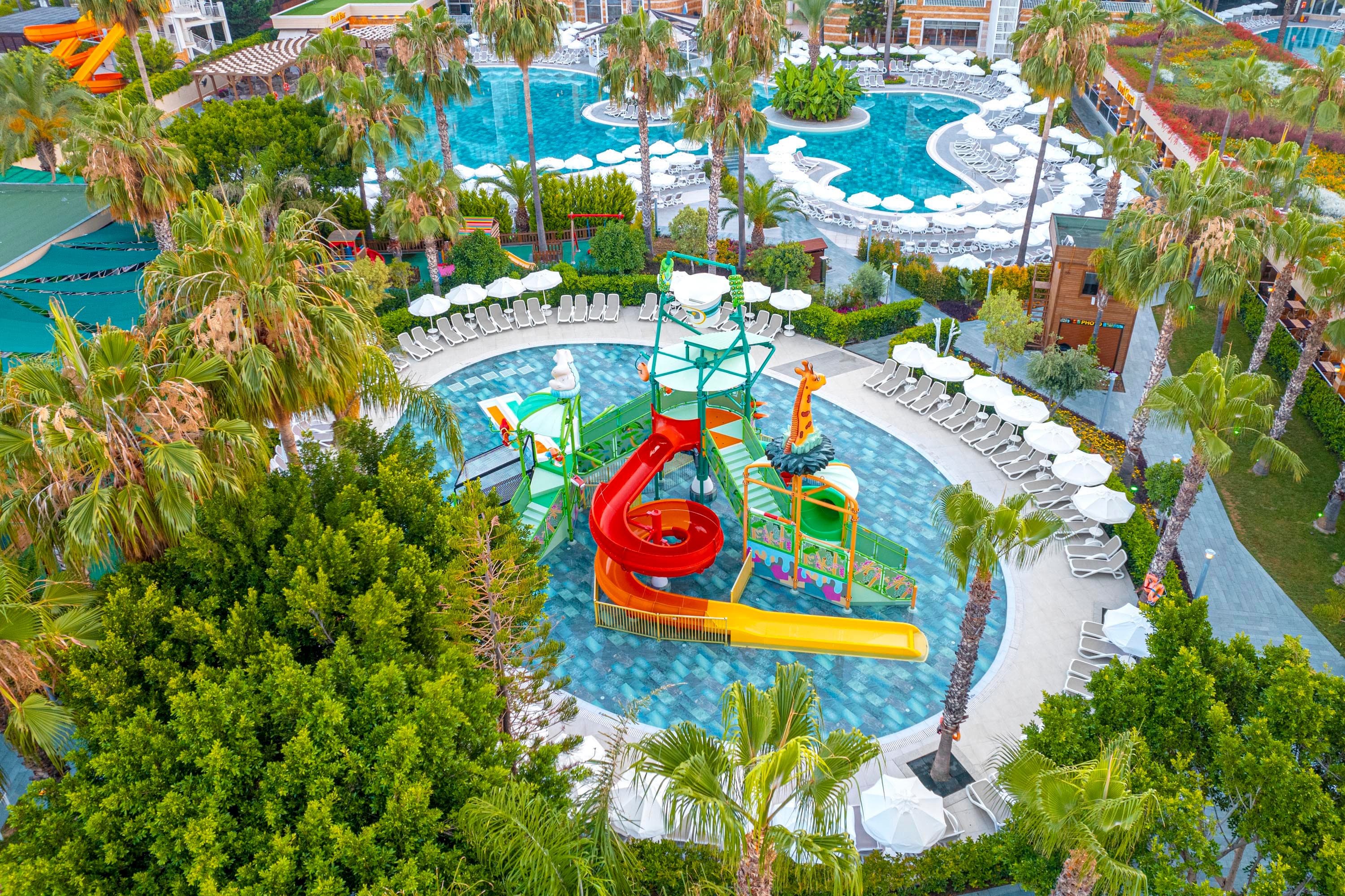 Leodikya Kirman Premium-65