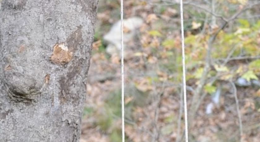 Köşdere Kırkgeçit Termal Otel-45